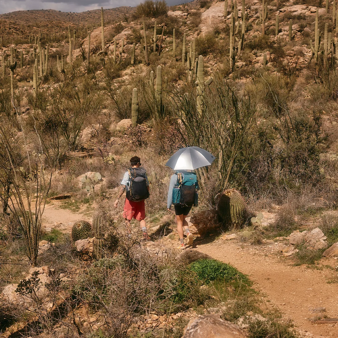 Lightrek Hiking Umbrella